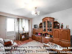Drumul Taberei, Aleea Baiut