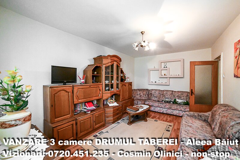 Drumul Taberei, Aleea Baiut,
