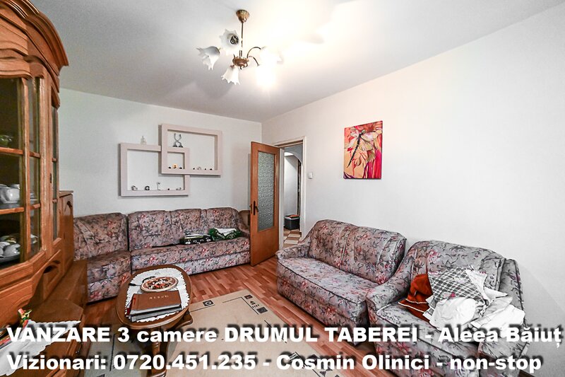 Drumul Taberei, Aleea Baiut,