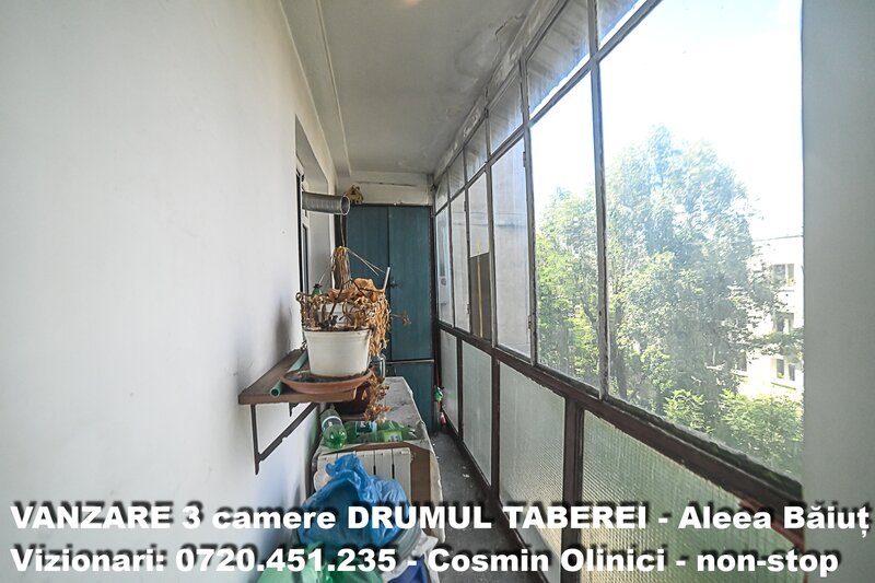 Drumul Taberei, Aleea Baiut,