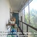 Drumul Taberei, Aleea Baiut,